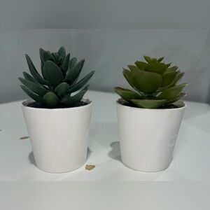 Set of Two Faux Succulents in White Pots